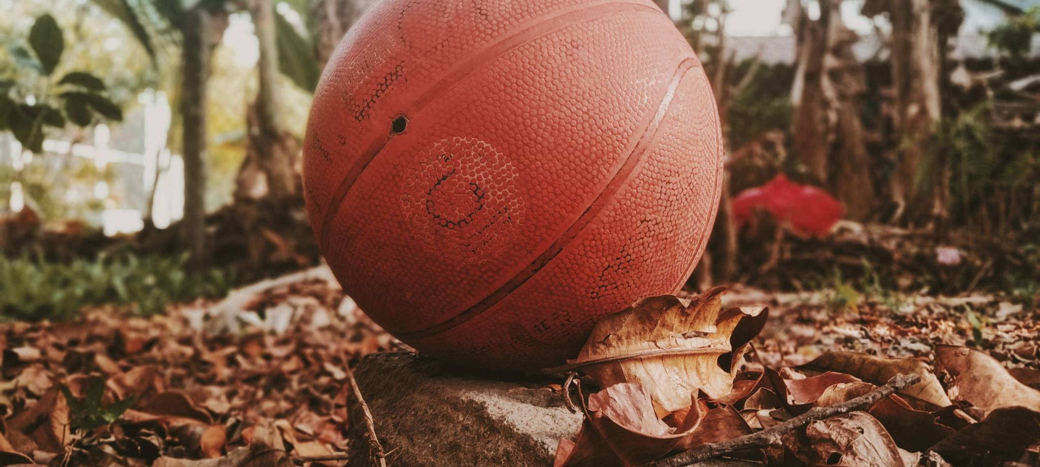 MG满冠体育简介